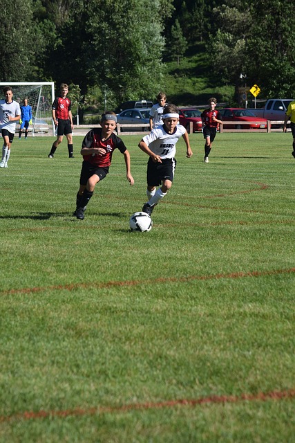 在争冠路上 在争冠路上